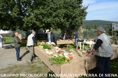 Mostra Micologica a Ancaiano