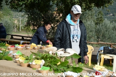 Mostra Micologica a Ancaiano