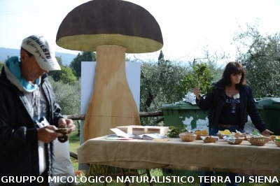 Mostra Micologica a Ancaiano