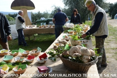 Mostra Micologica a Ancaiano