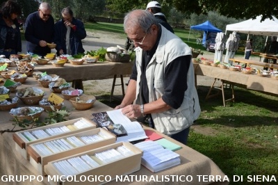 Mostra Micologica a Ancaiano