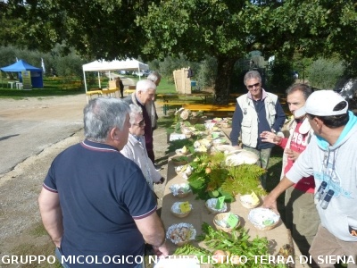 Mostra Micologica a Ancaiano