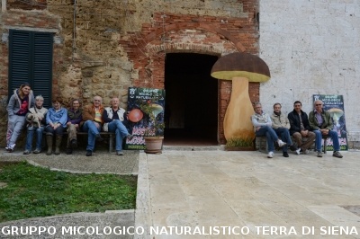 Mostra Micologica a Monticiano