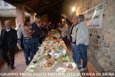 Mostra Micologica a Monticiano