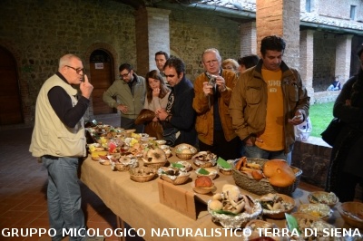 Mostra Micologica a Monticiano