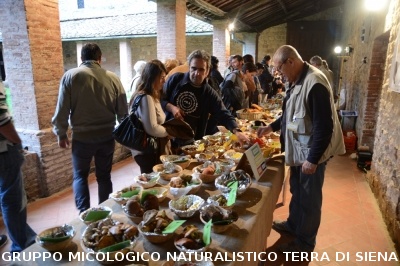 Mostra Micologica a Monticiano