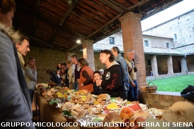 Mostra Micologica a Monticiano