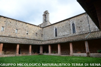 Mostra Micologica a Monticiano