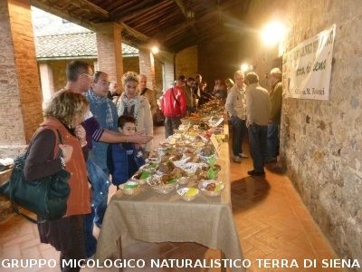 Mostra Micologica a Monticiano