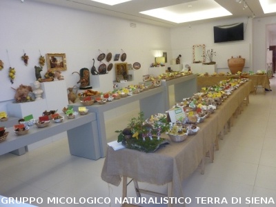 XVI Mostra Micologica Senese