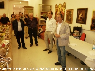 XVI Mostra Micologica Senese