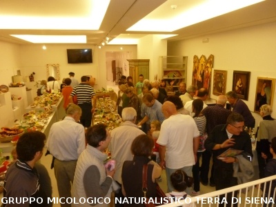 XVI Mostra Micologica Senese