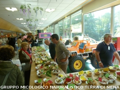 Mostra Micologica presso la COOP